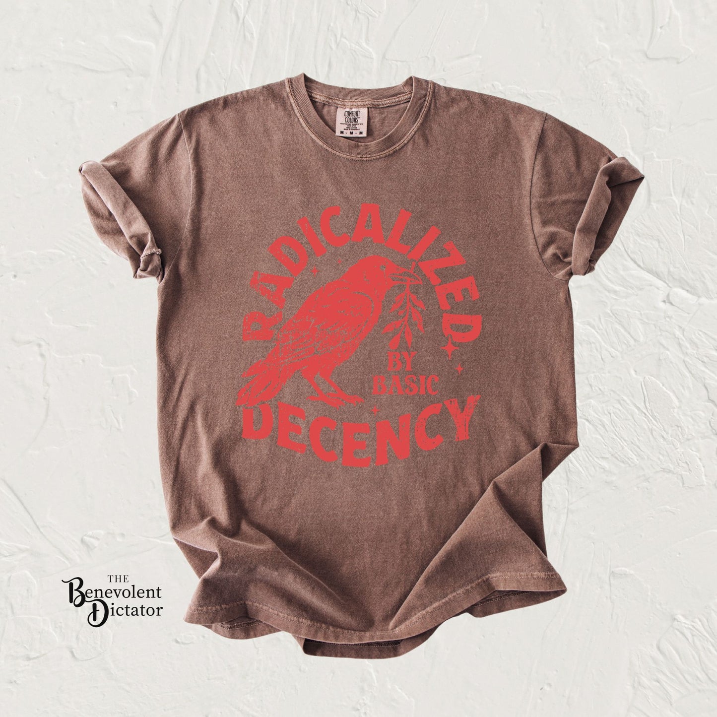 Radicalized by Basic Decency T-Shirt — Vintage Raven Distressed Graphic Tee