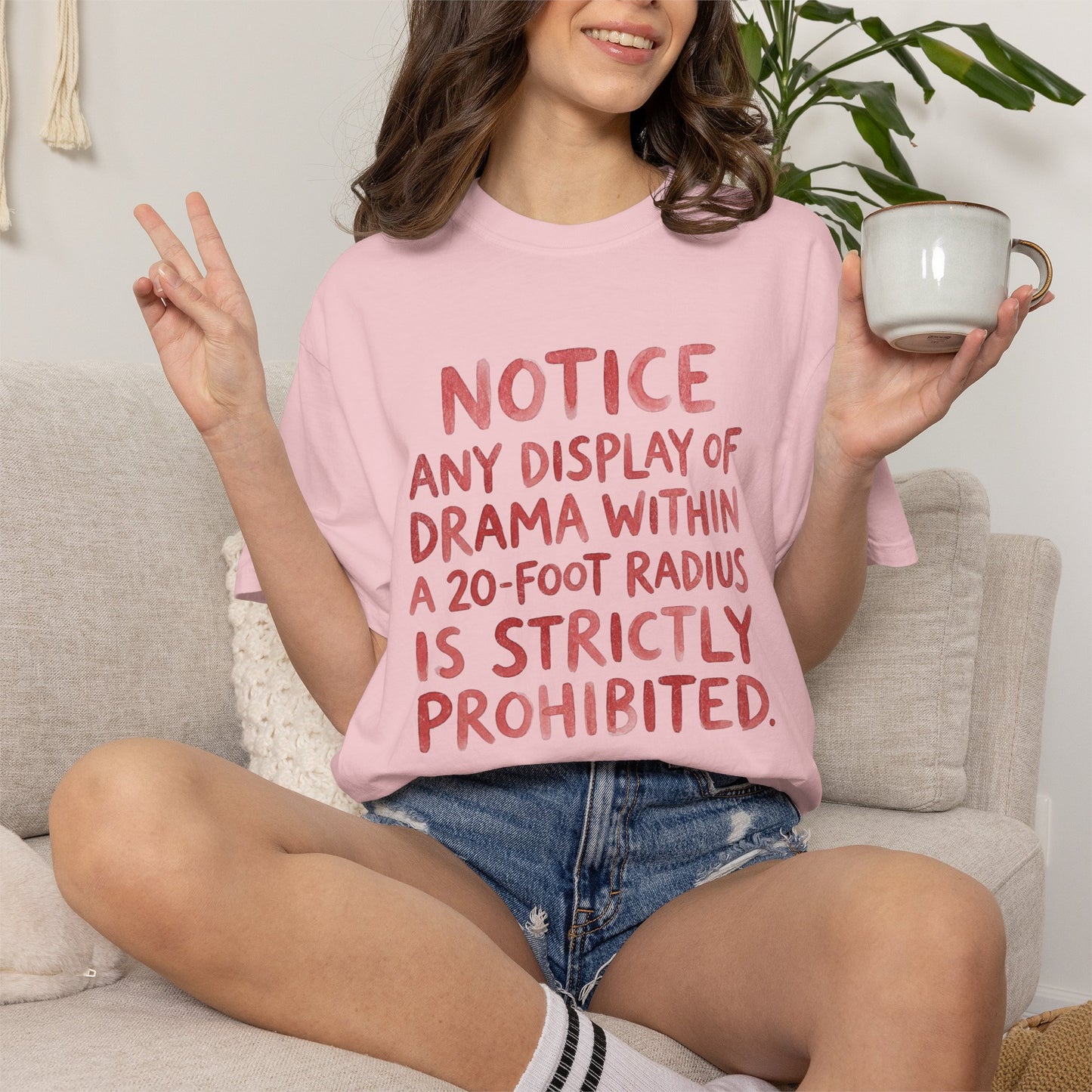 Any Display of Drama Prohibited T-Shirt | Funny Typography Graphic Tee | Introvert Humor Shirt