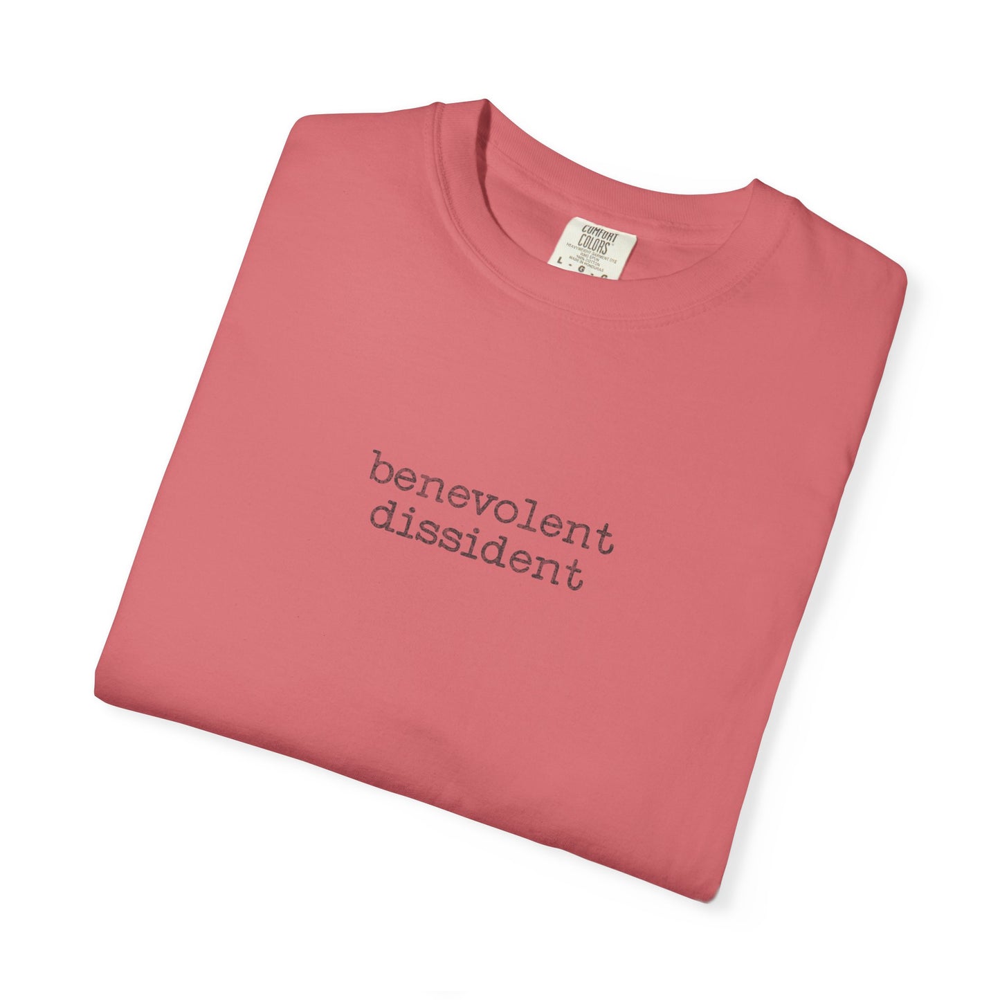 Benevolent Dissident T-Shirt — Minimalist Activism Statement Graphic Tee