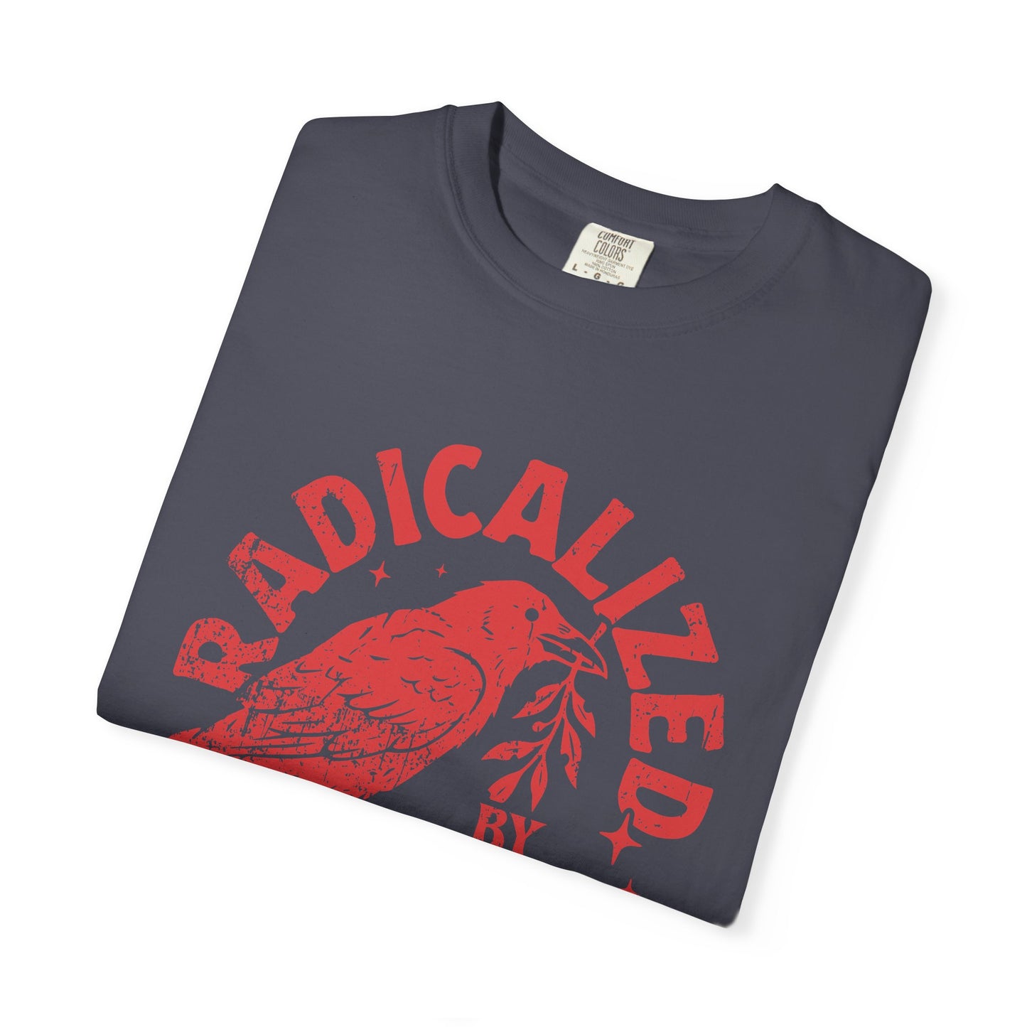 Radicalized by Basic Decency T-Shirt — Vintage Raven Distressed Graphic Tee