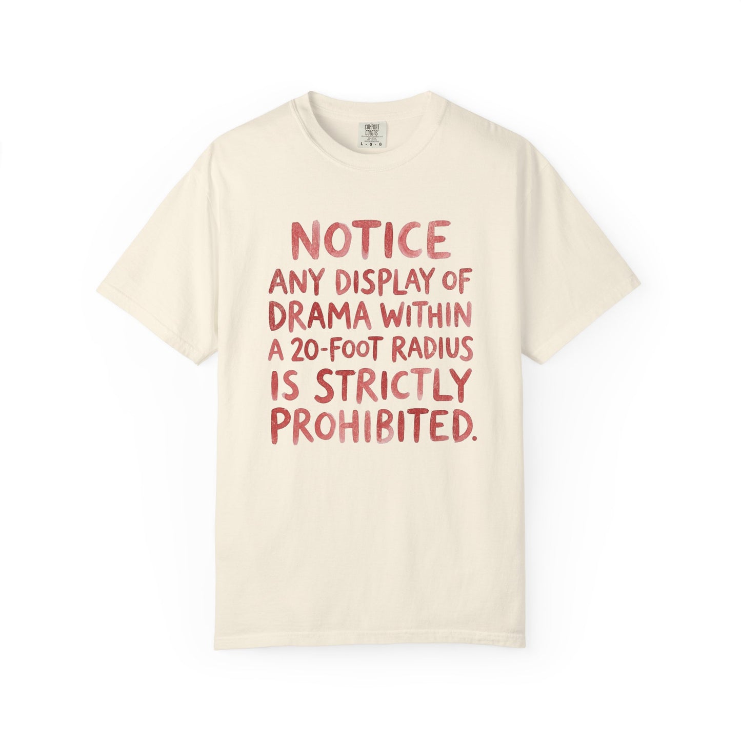 Any Display of Drama Prohibited T-Shirt | Funny Typography Graphic Tee | Introvert Humor Shirt