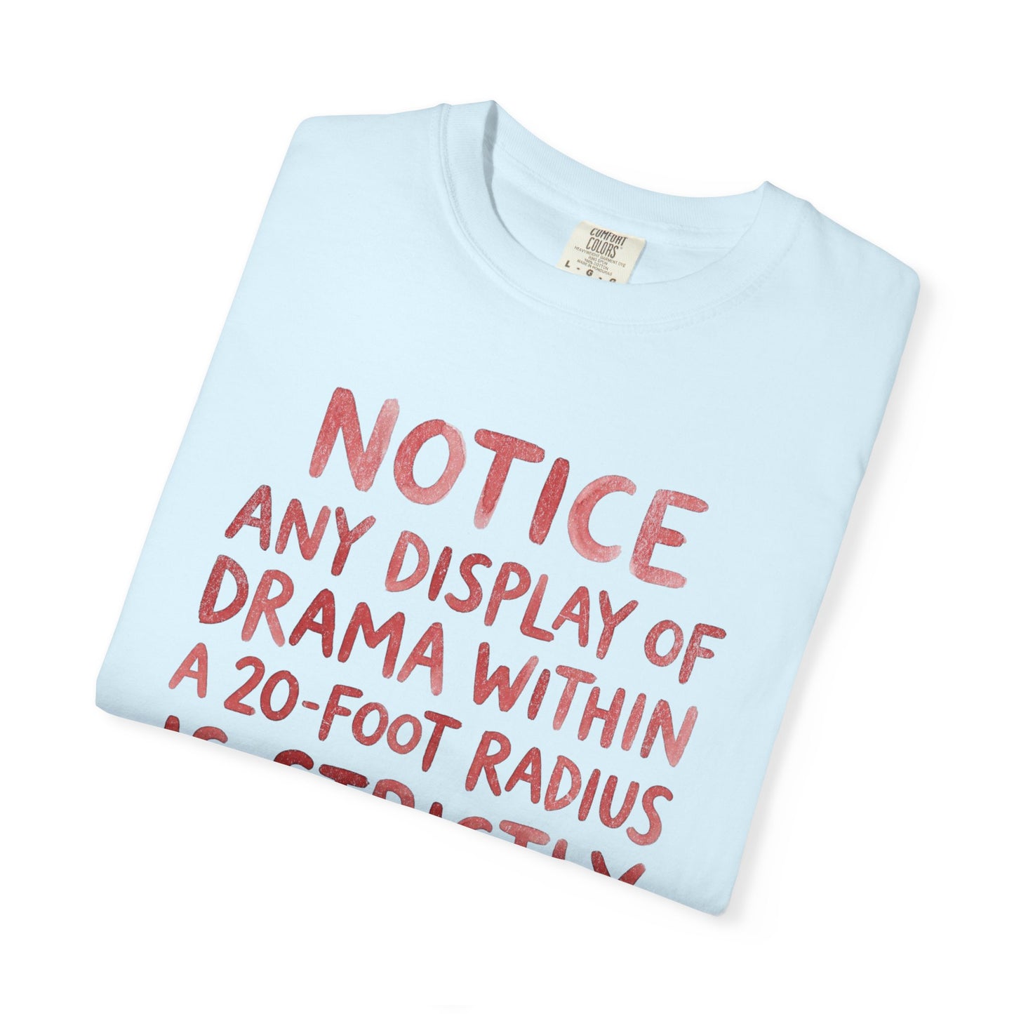 Any Display of Drama Prohibited T-Shirt | Funny Typography Graphic Tee | Introvert Humor Shirt