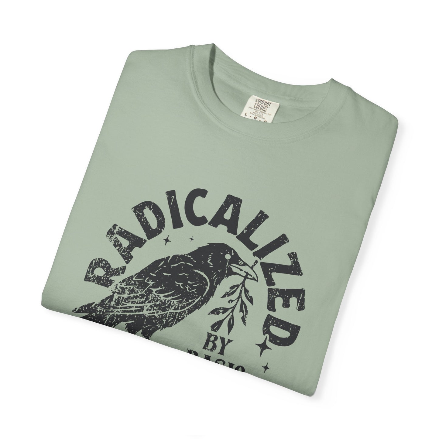 Radicalized by Basic Decency T-Shirt — Vintage Raven Distressed Graphic Tee