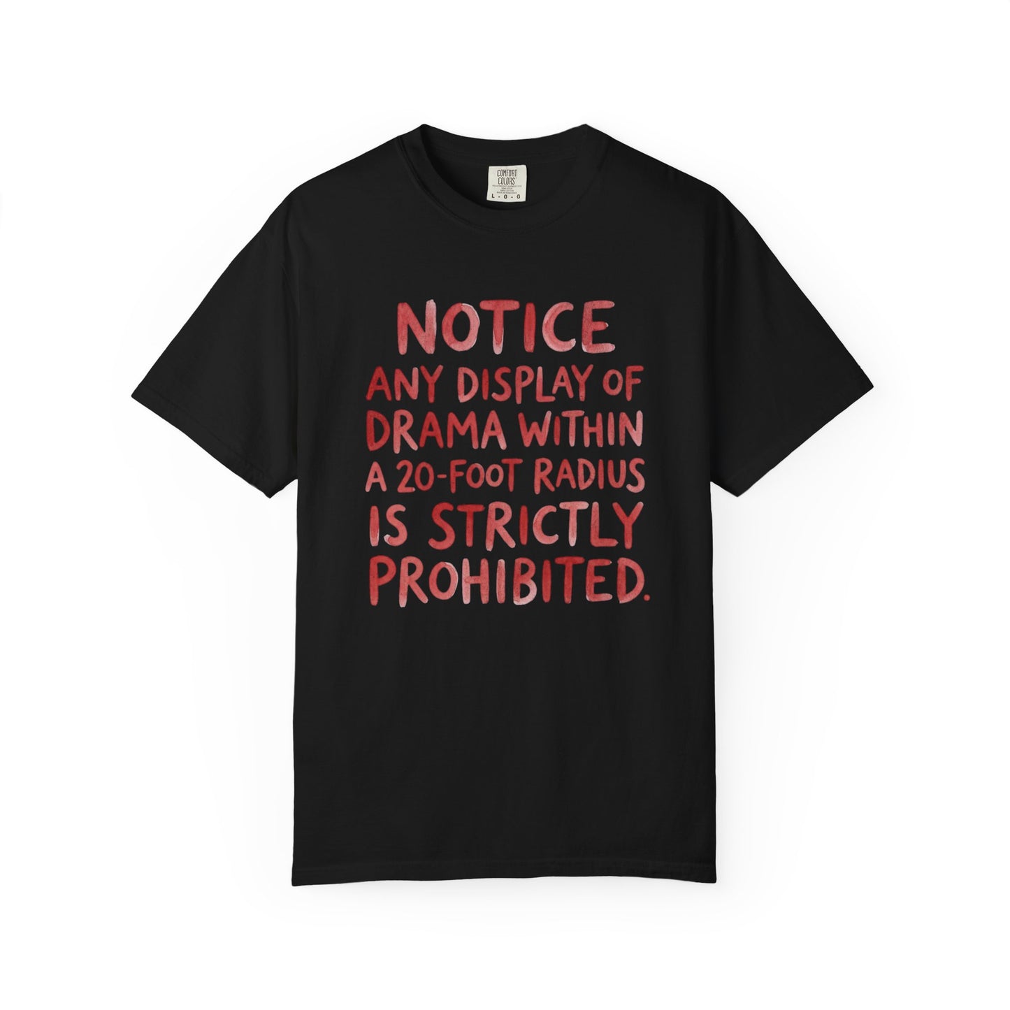 Any Display of Drama Prohibited T-Shirt | Funny Typography Graphic Tee | Introvert Humor Shirt