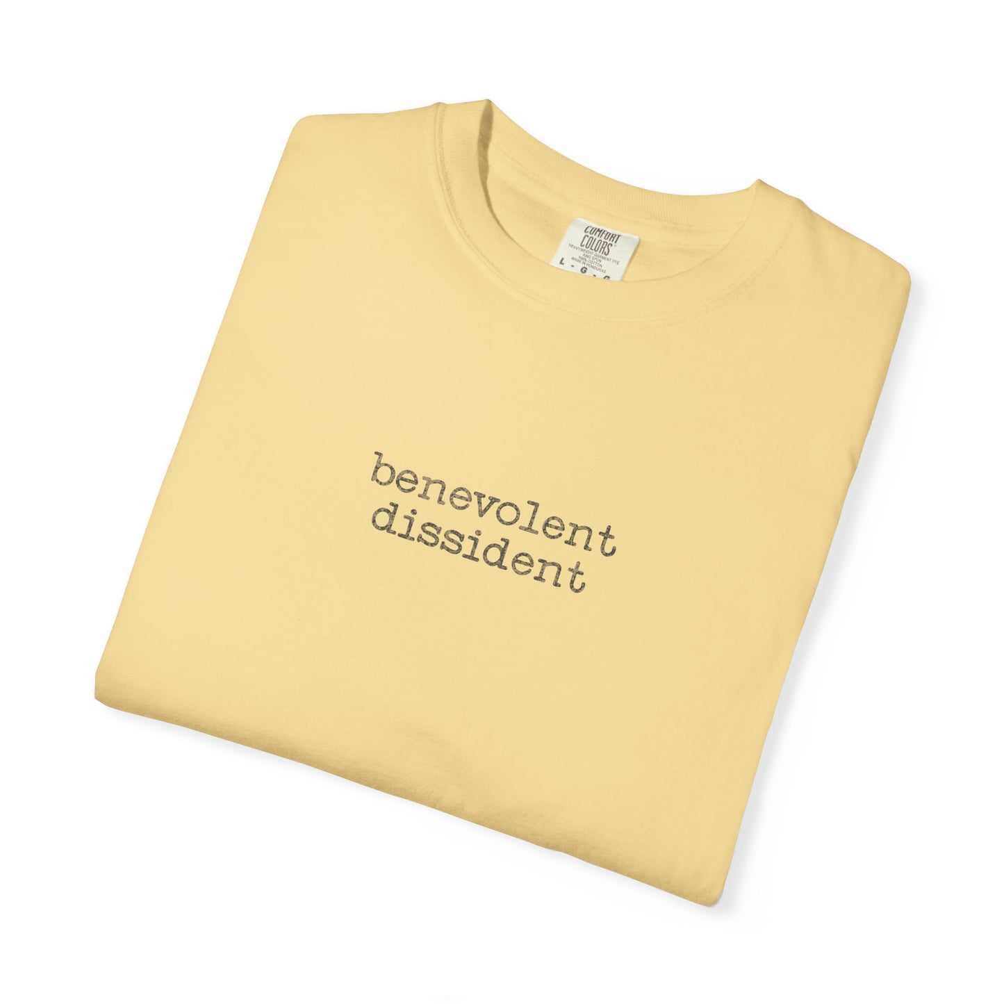 Benevolent Dissident T-Shirt — Minimalist Activism Statement Graphic Tee