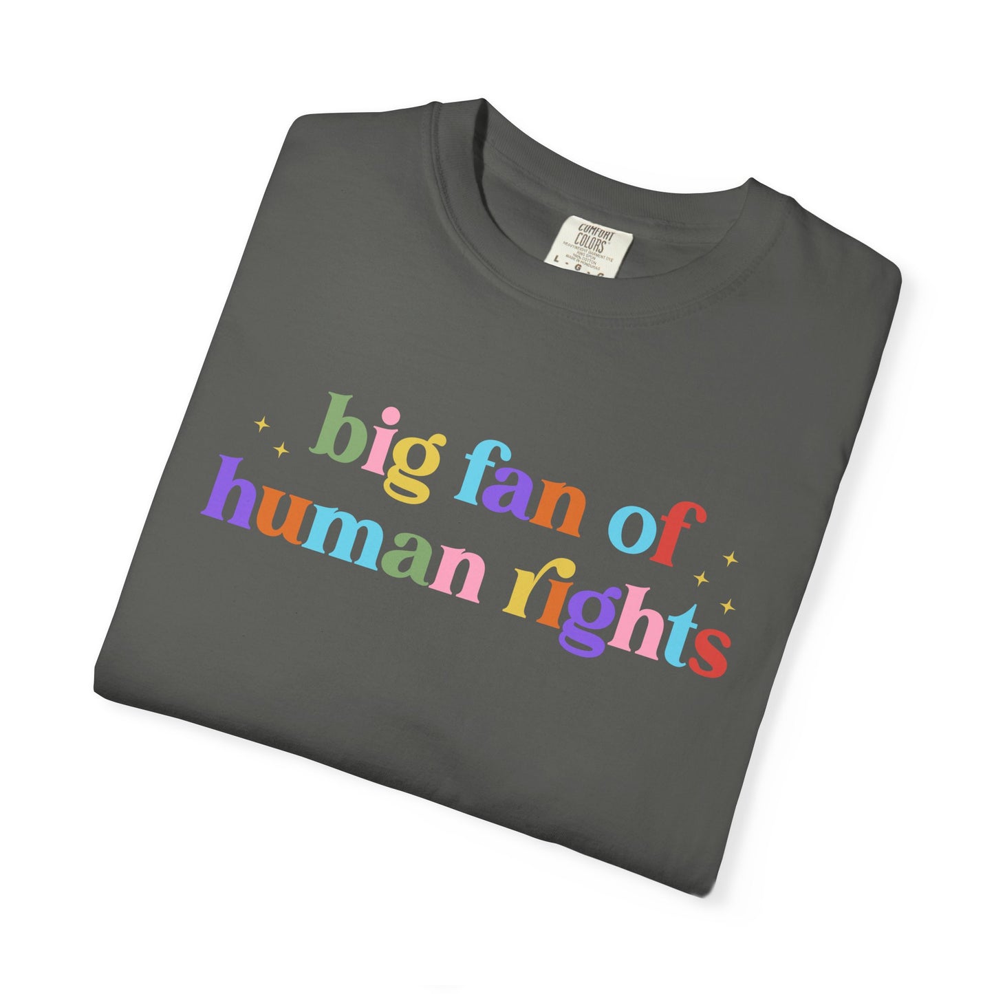 Big Fan of Human Rights Pride & Ally Graphic Tee