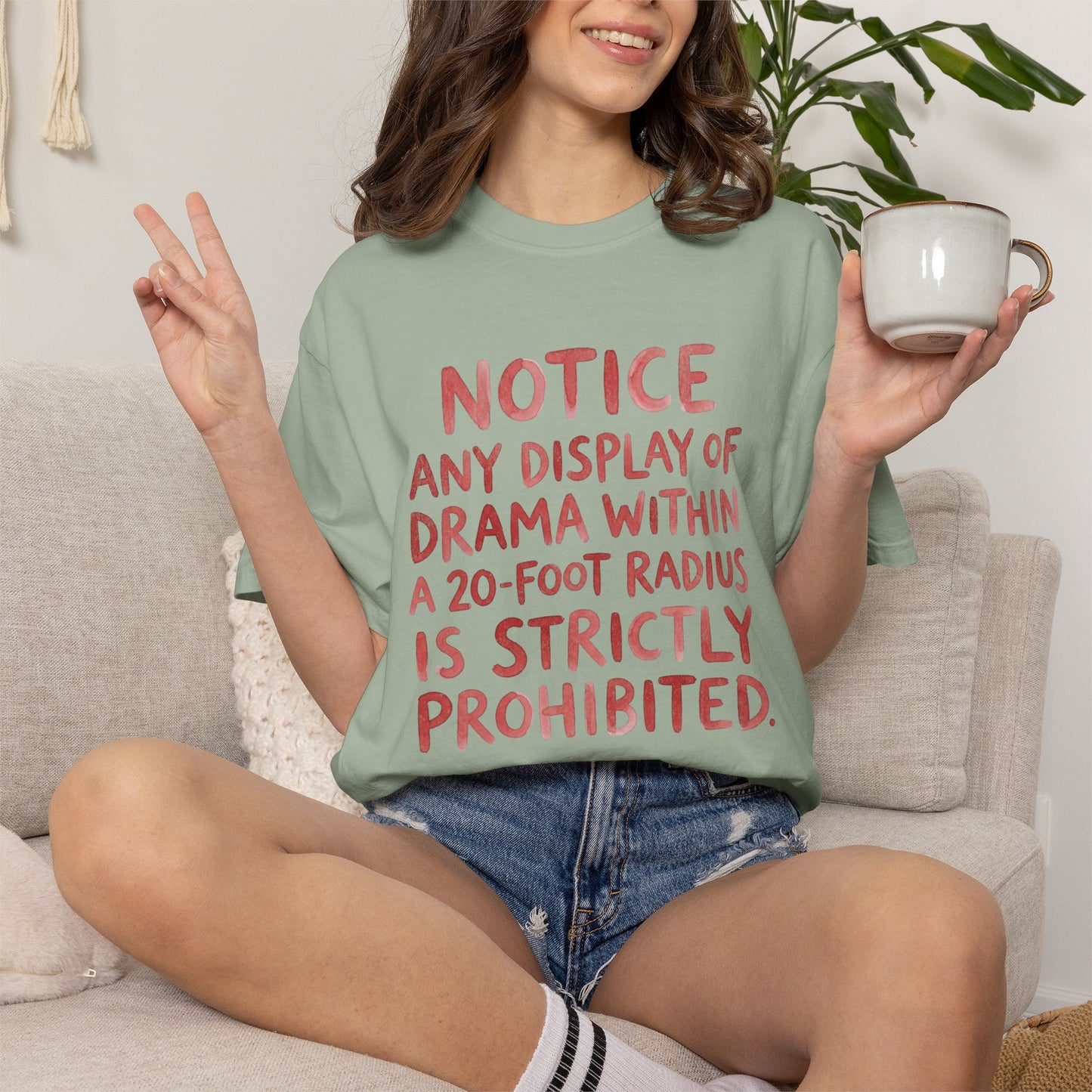 Any Display of Drama Prohibited T-Shirt | Funny Typography Graphic Tee | Introvert Humor Shirt