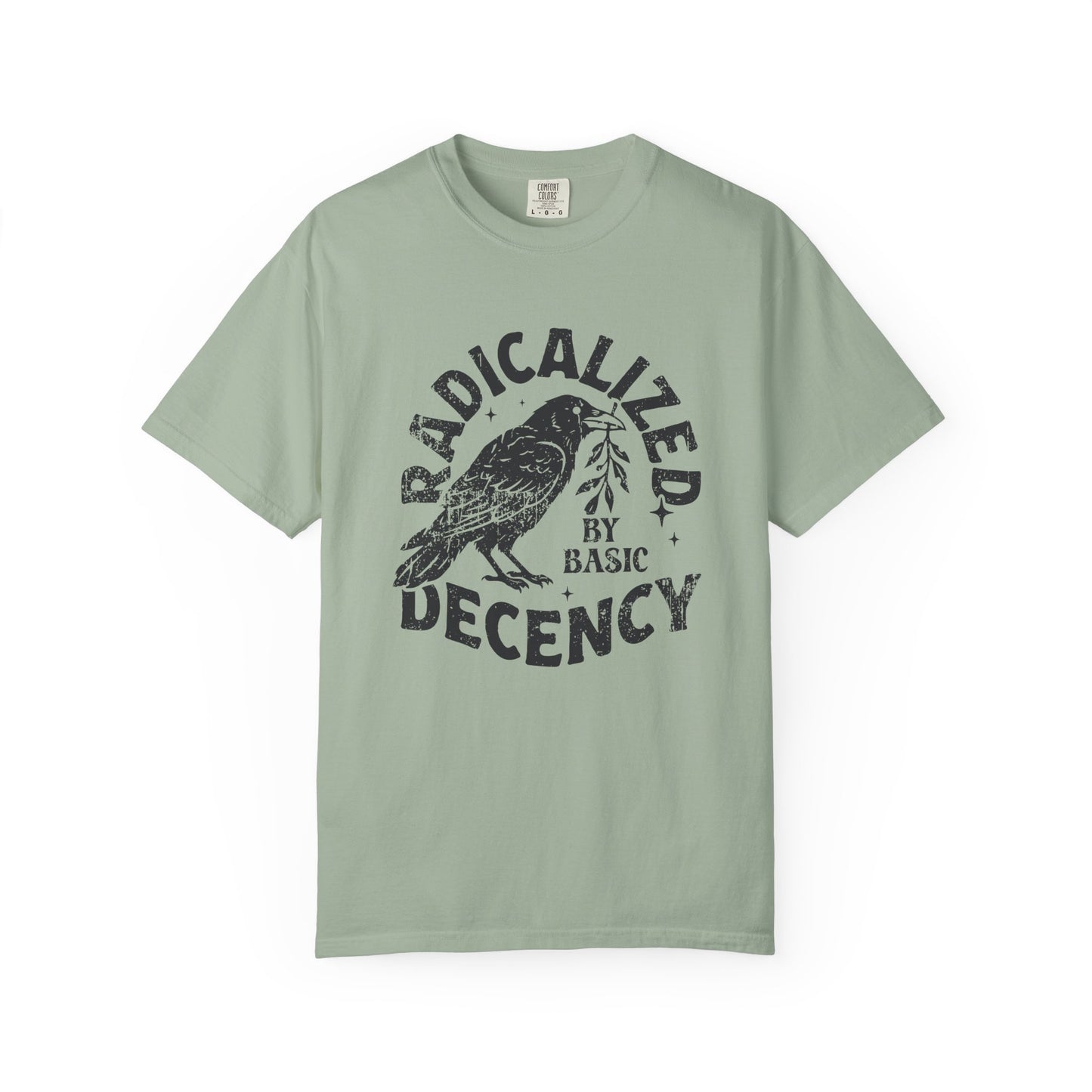 Radicalized by Basic Decency T-Shirt — Vintage Raven Distressed Graphic Tee