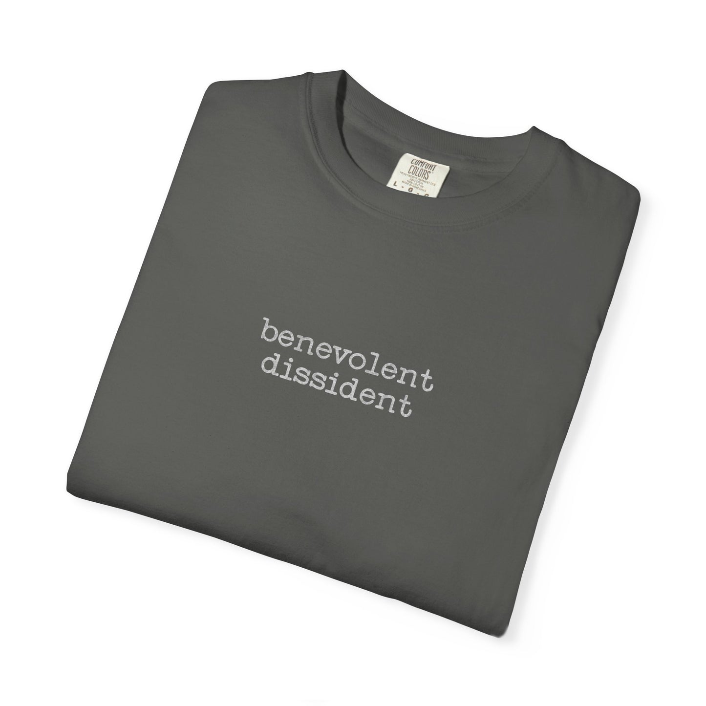 Benevolent Dissident T-Shirt — Minimalist Activism Statement Graphic Tee
