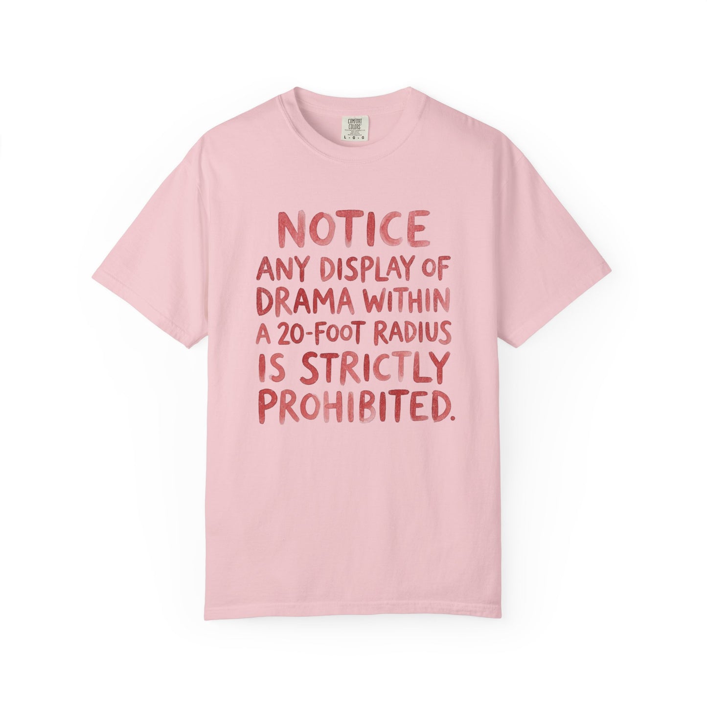 Any Display of Drama Prohibited T-Shirt | Funny Typography Graphic Tee | Introvert Humor Shirt