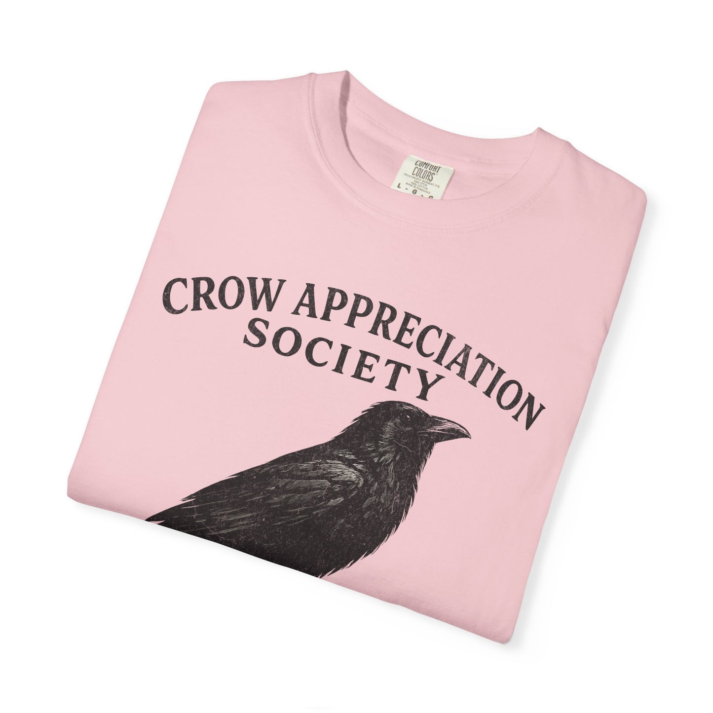 Crow Appreciation Society T-Shirt — 'Holding Grudges, Collecting Shiny Things' Funny Crow Graphic Tee