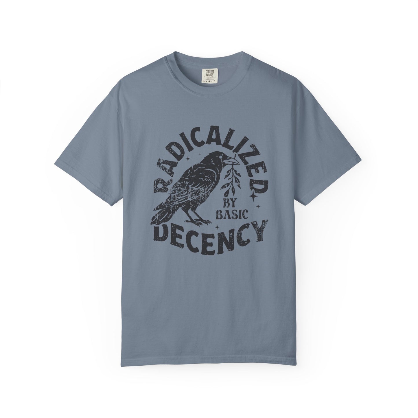 Radicalized by Basic Decency T-Shirt — Vintage Raven Distressed Graphic Tee