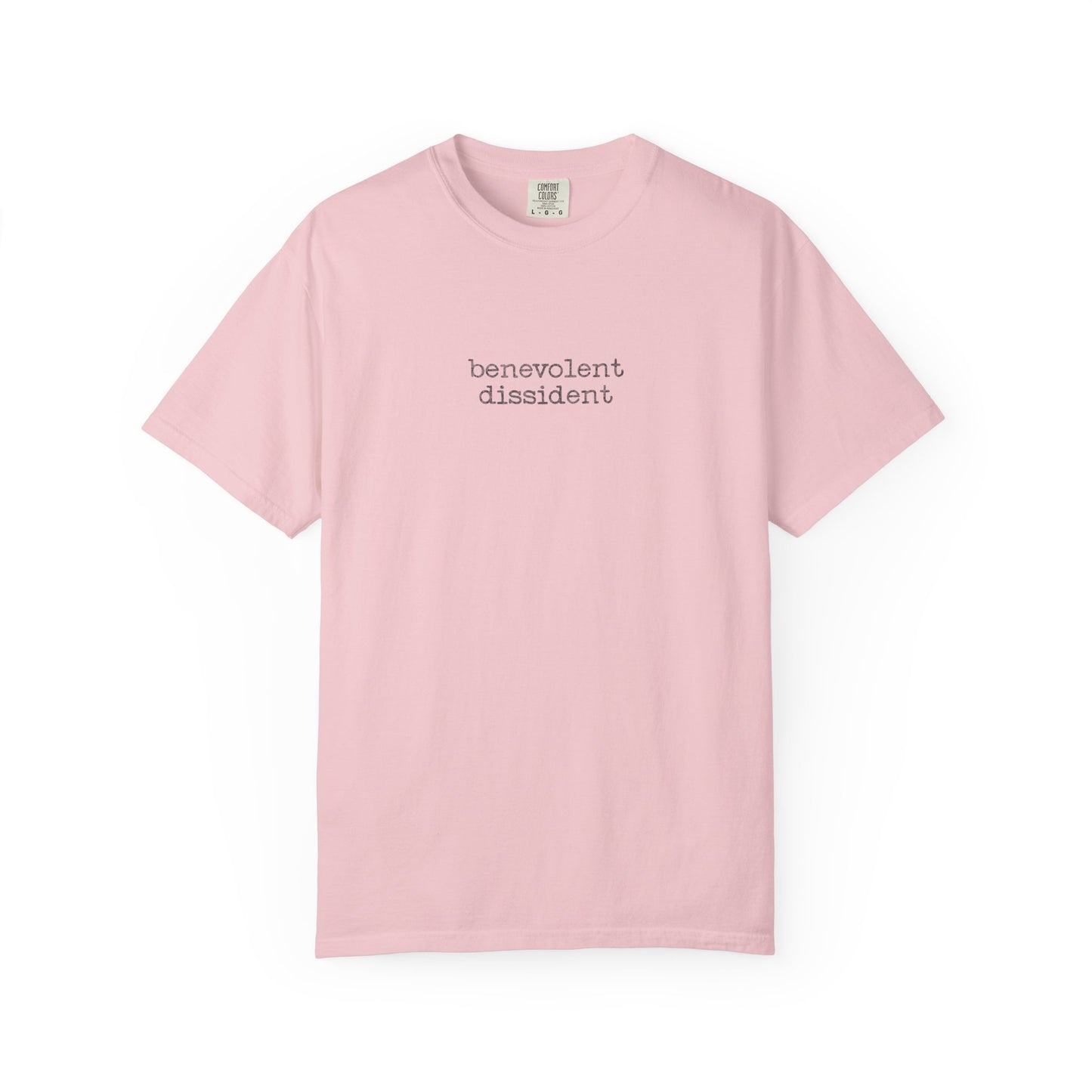 Benevolent Dissident T-Shirt — Minimalist Activism Statement Graphic Tee