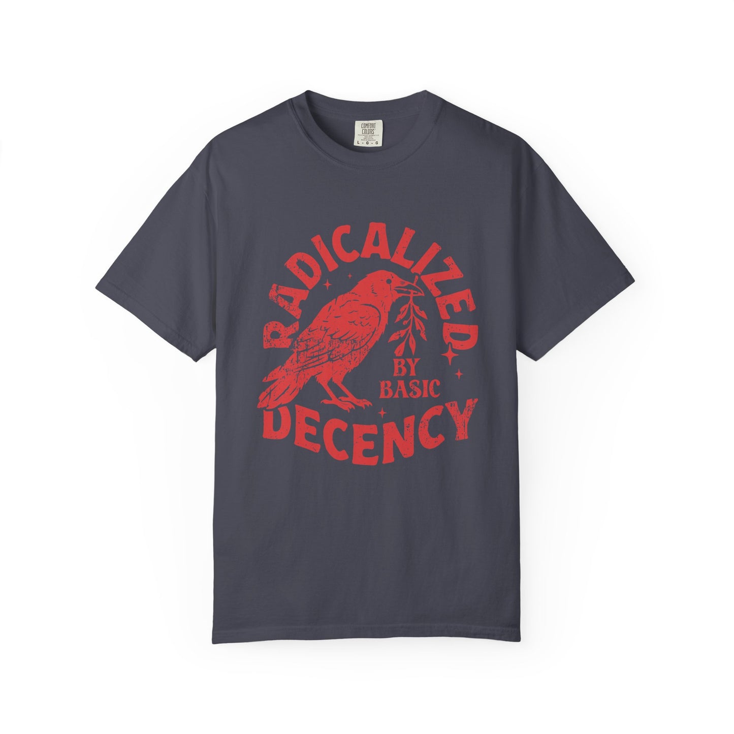 Radicalized by Basic Decency T-Shirt — Vintage Raven Distressed Graphic Tee
