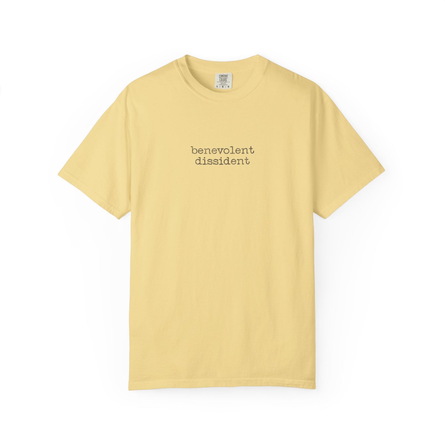 Benevolent Dissident T-Shirt — Minimalist Activism Statement Graphic Tee