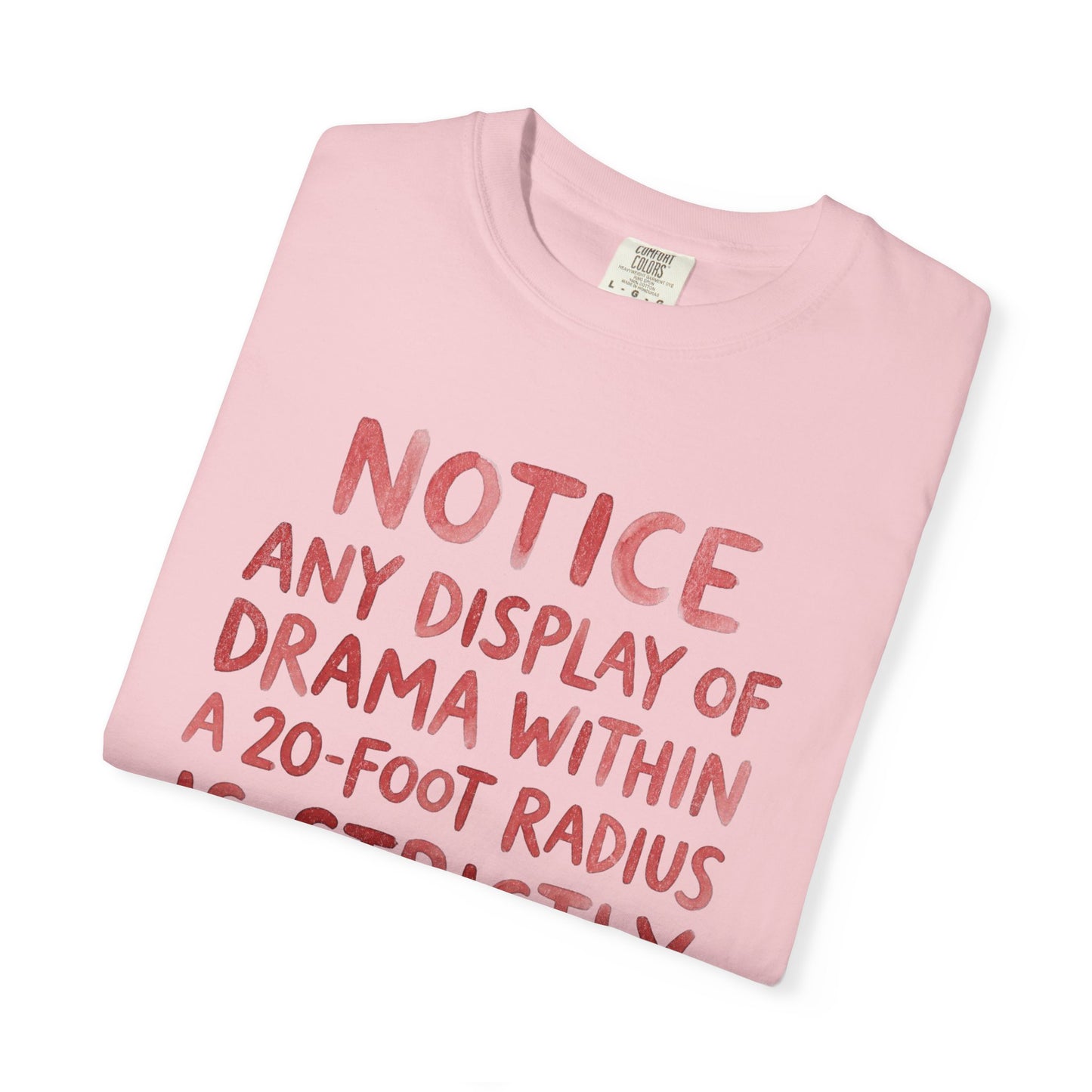 Any Display of Drama Prohibited T-Shirt | Funny Typography Graphic Tee | Introvert Humor Shirt