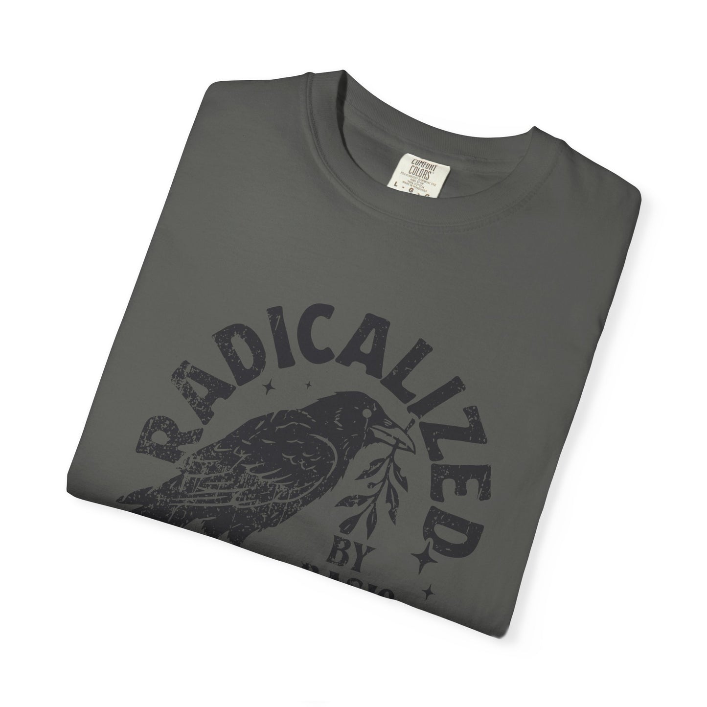 Radicalized by Basic Decency T-Shirt — Vintage Raven Distressed Graphic Tee