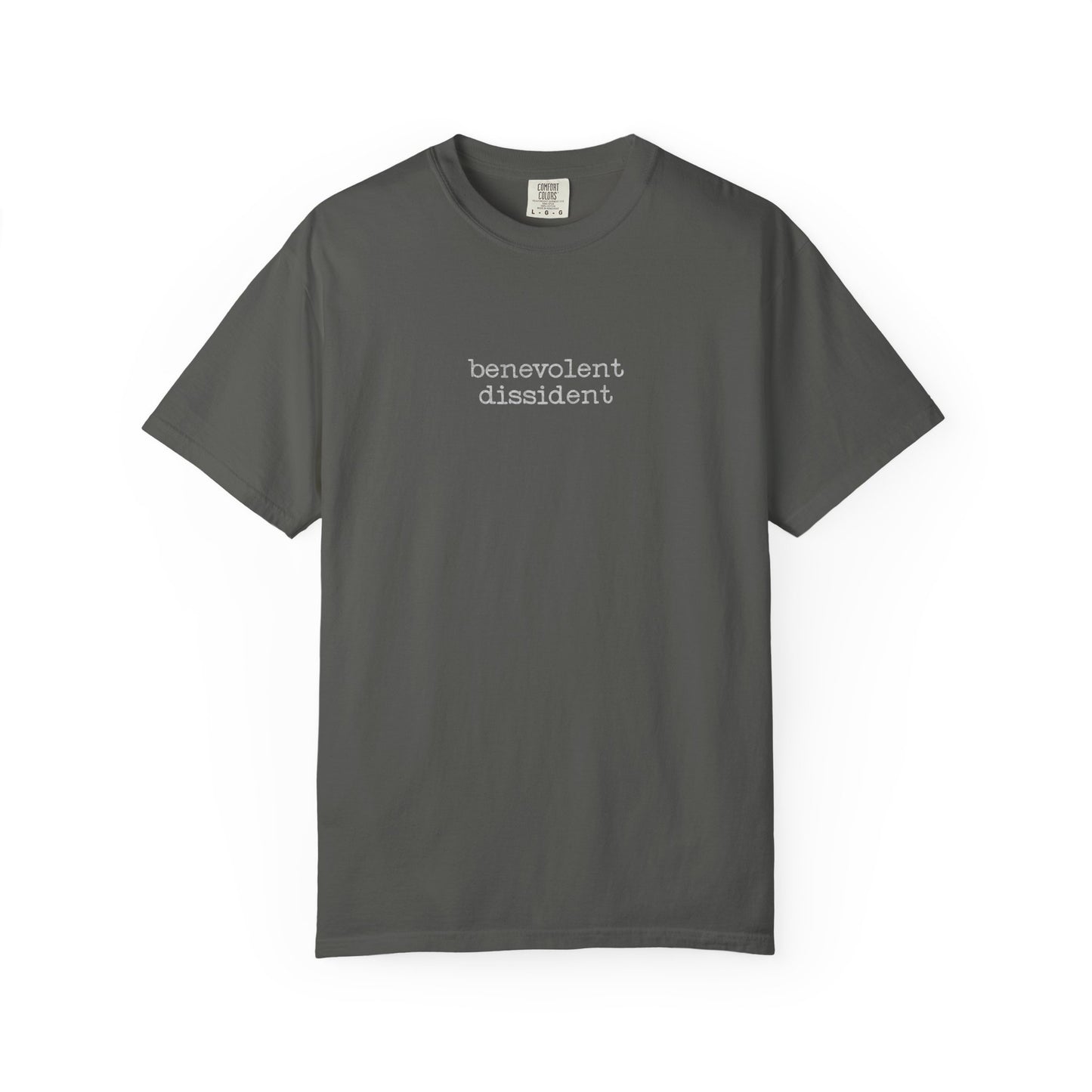Benevolent Dissident T-Shirt — Minimalist Activism Statement Graphic Tee
