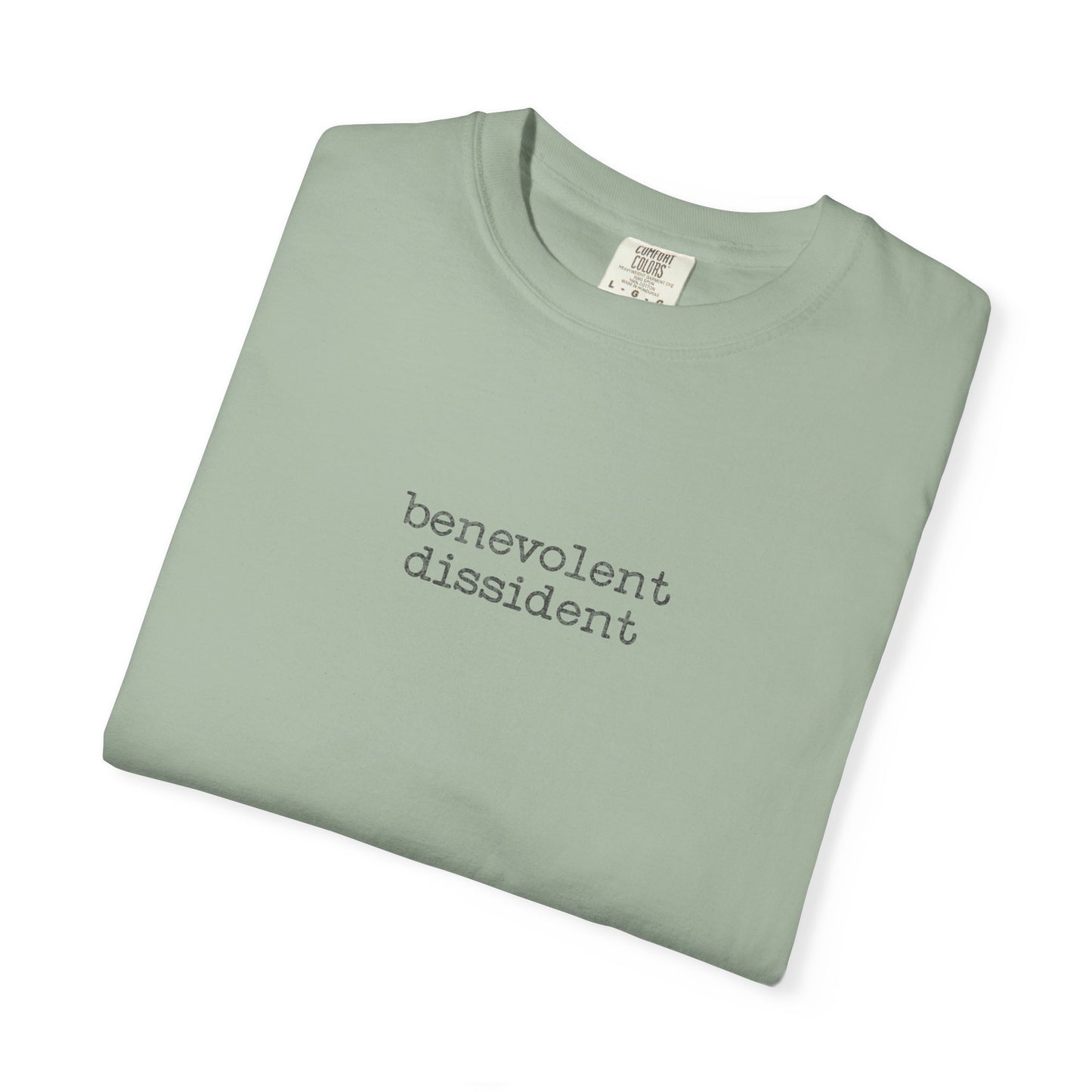 Benevolent Dissident T-Shirt — Minimalist Activism Statement Graphic Tee