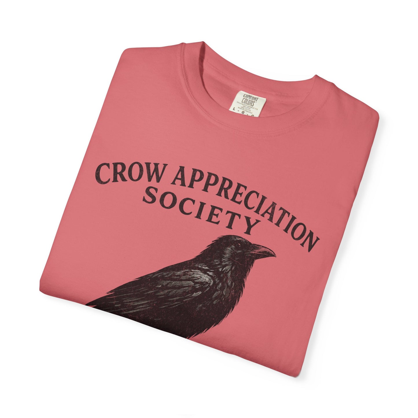 Crow Appreciation Society T-Shirt — 'Holding Grudges, Collecting Shiny Things' Funny Crow Graphic Tee