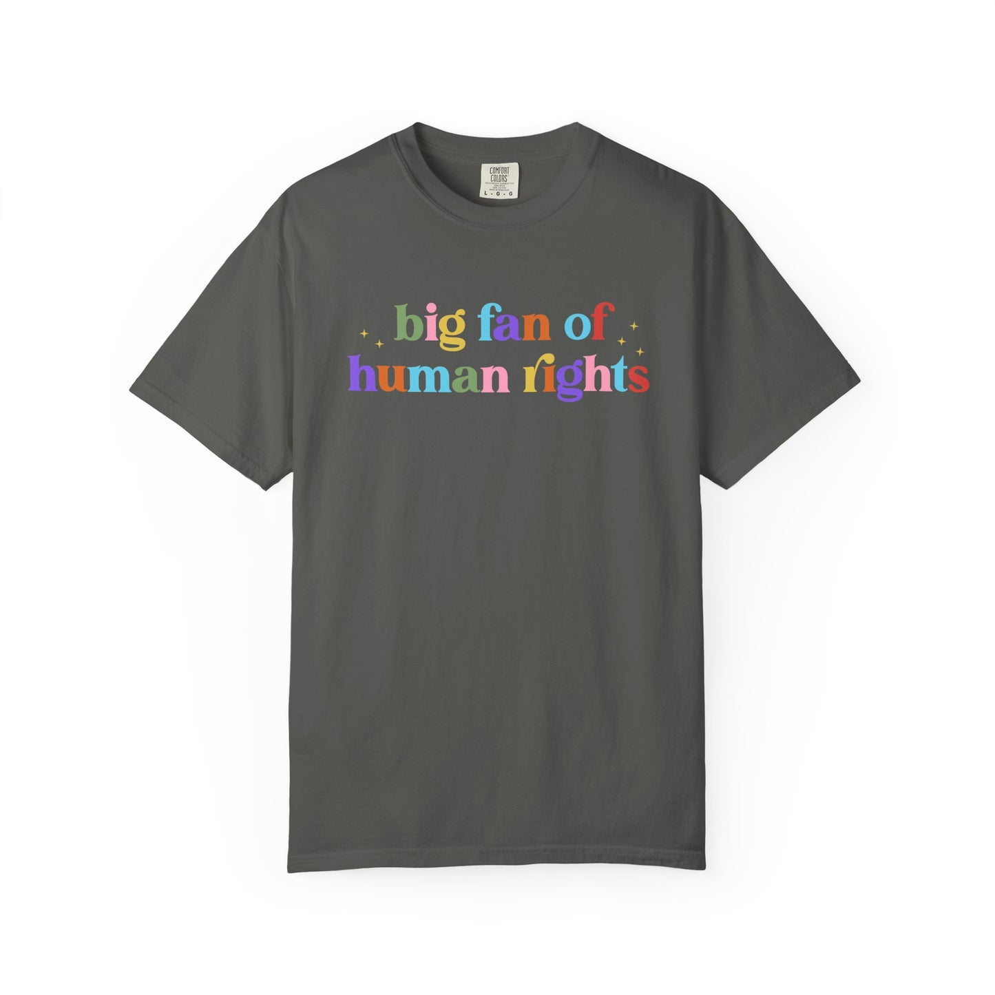 Big Fan of Human Rights Pride & Ally Graphic Tee
