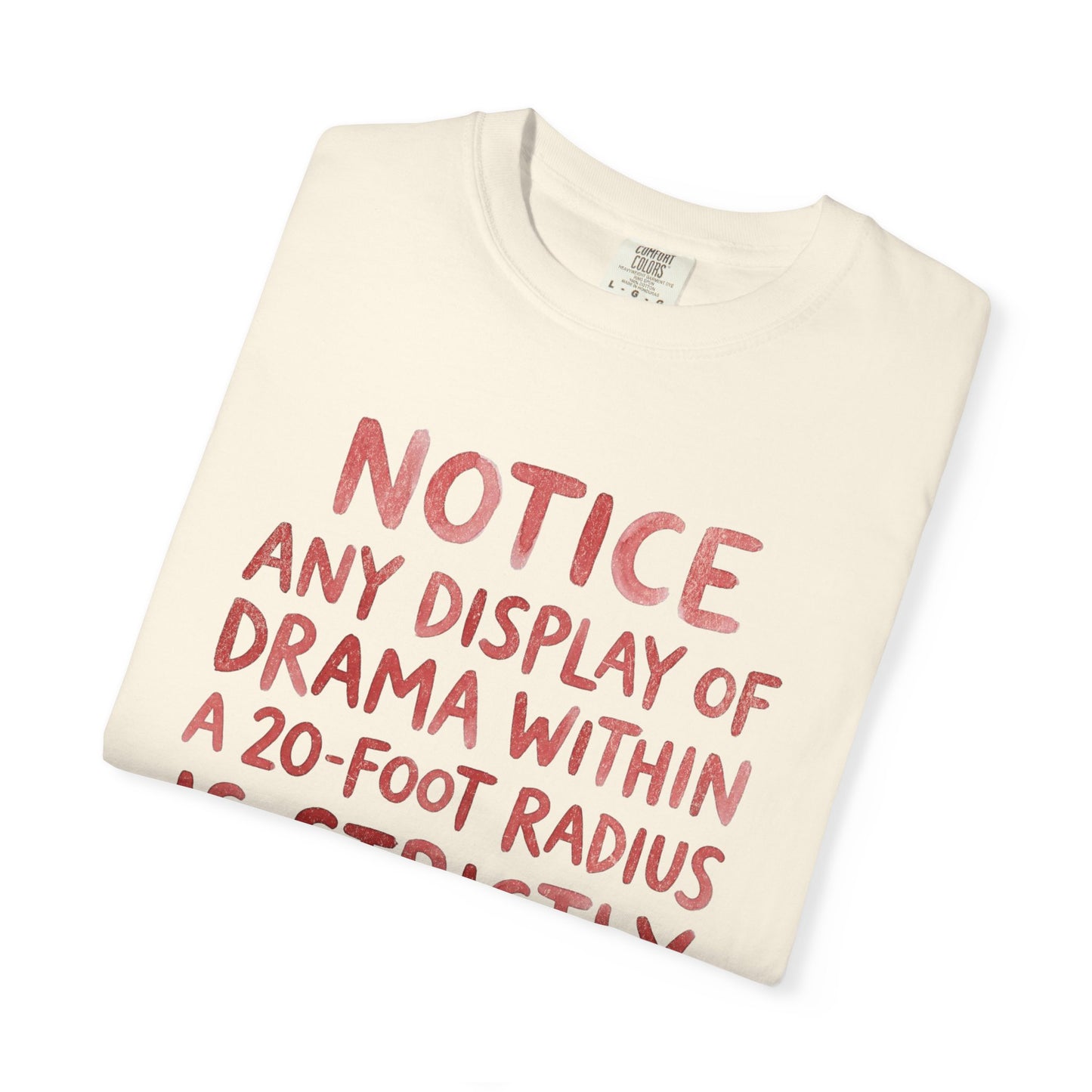 Any Display of Drama Prohibited T-Shirt | Funny Typography Graphic Tee | Introvert Humor Shirt