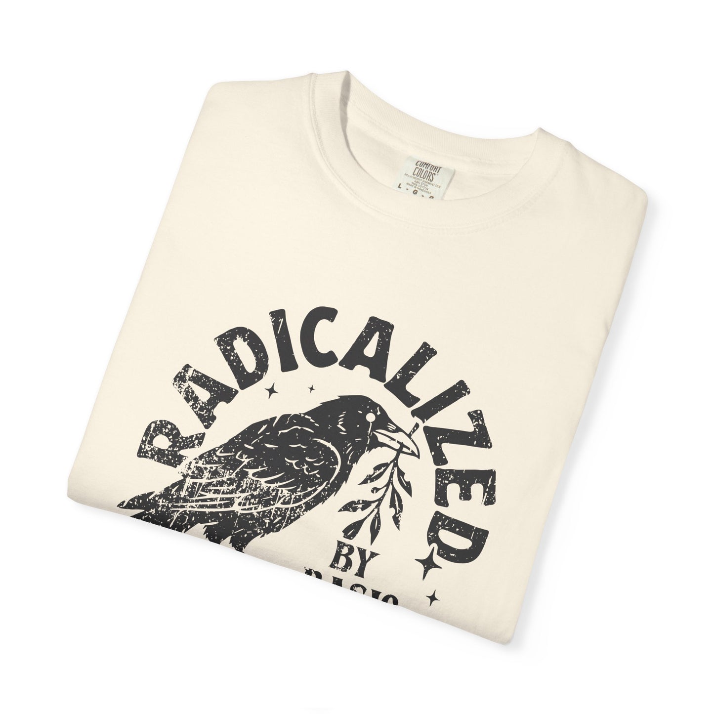 Radicalized by Basic Decency T-Shirt — Vintage Raven Distressed Graphic Tee