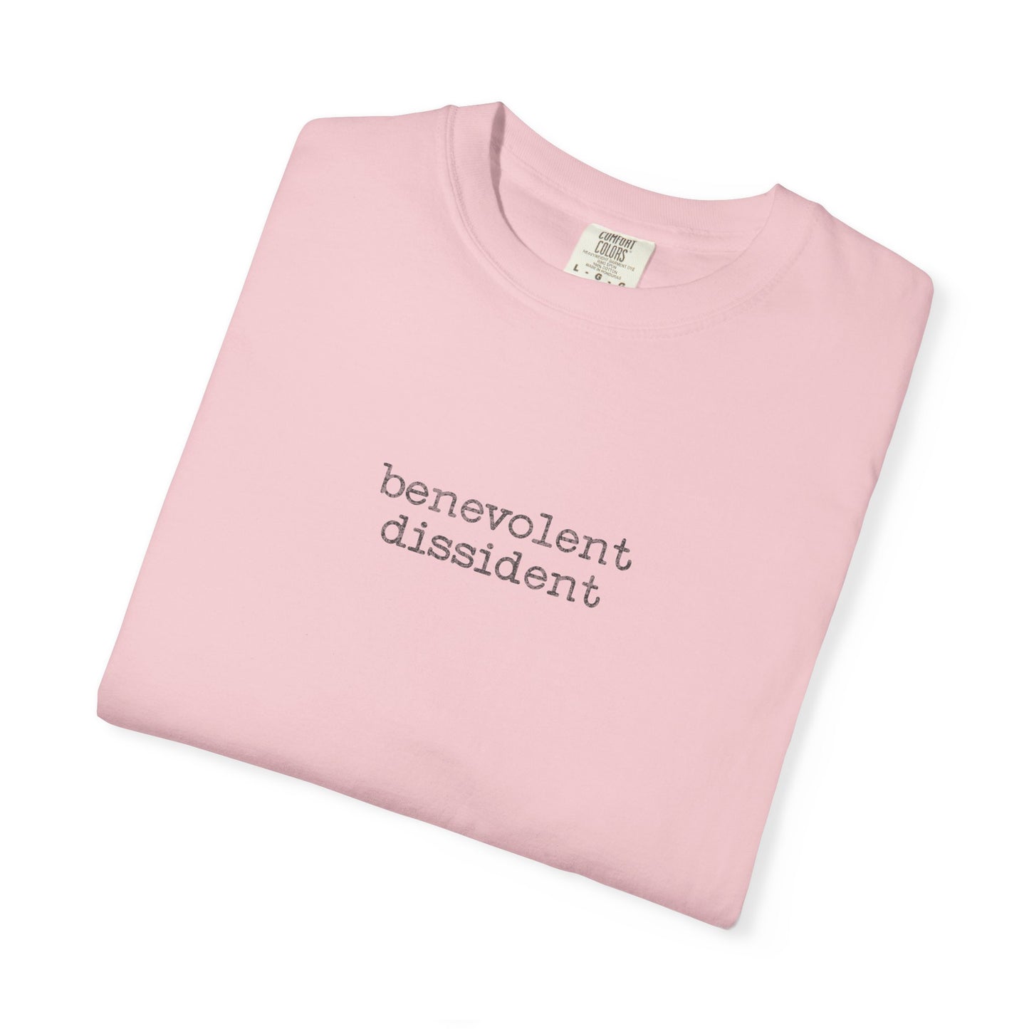 Benevolent Dissident T-Shirt — Minimalist Activism Statement Graphic Tee