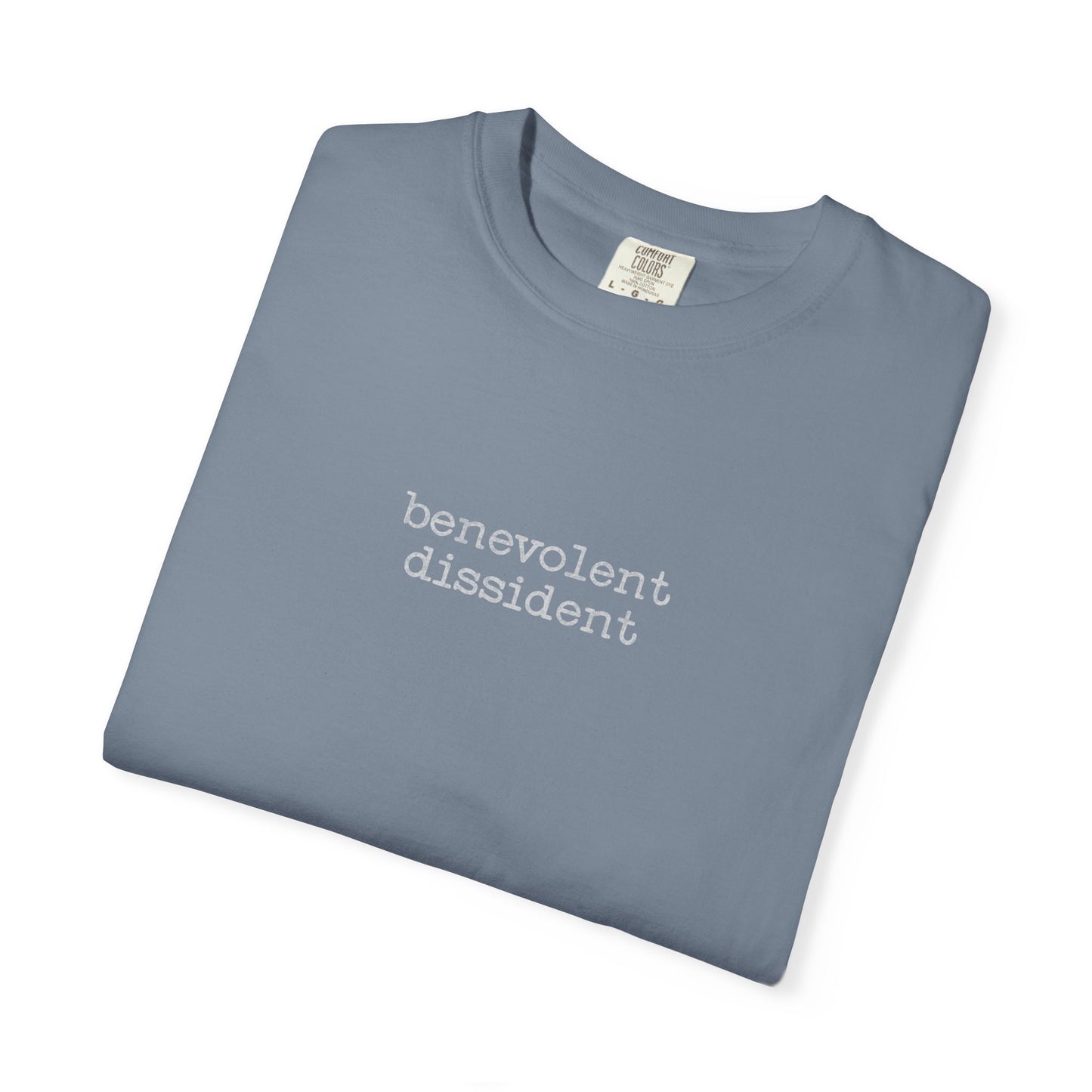 Benevolent Dissident T-Shirt — Minimalist Activism Statement Graphic Tee