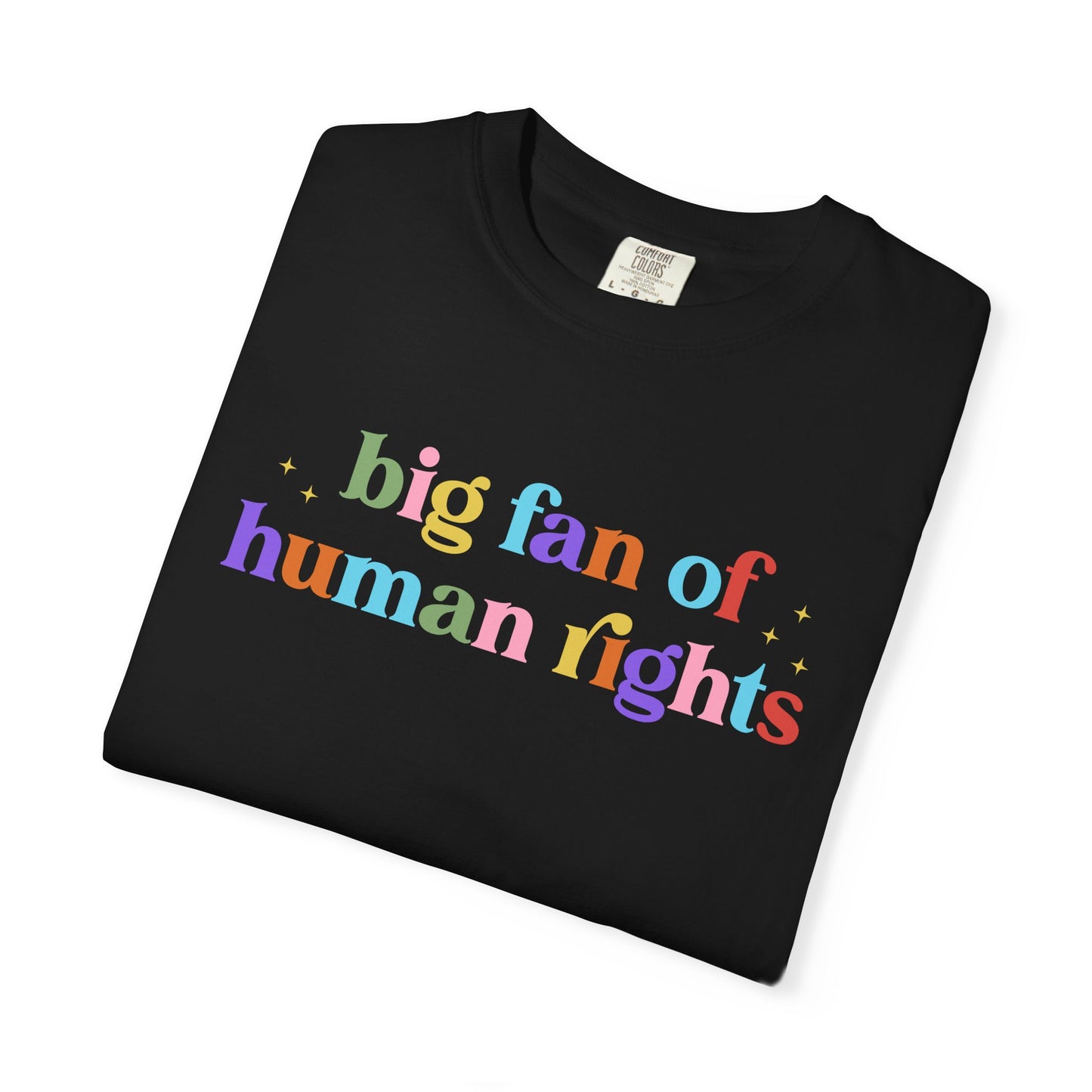 Big Fan of Human Rights Pride & Ally Graphic Tee