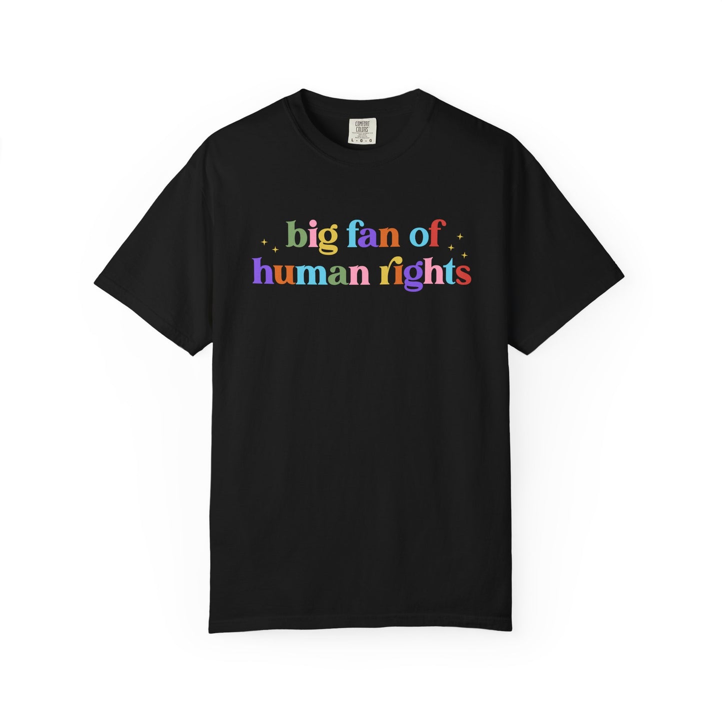 Big Fan of Human Rights Pride & Ally Graphic Tee