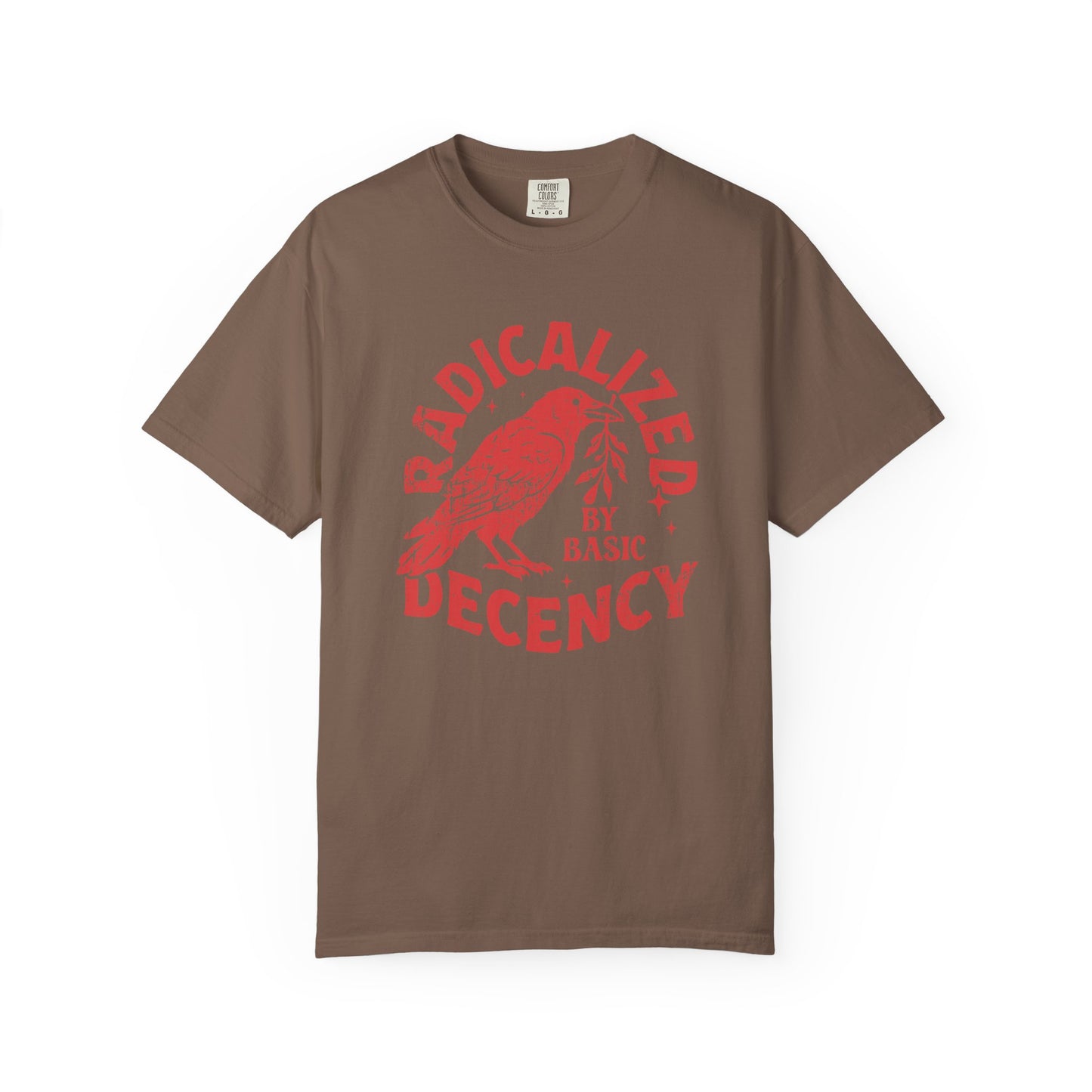 Radicalized by Basic Decency T-Shirt — Vintage Raven Distressed Graphic Tee