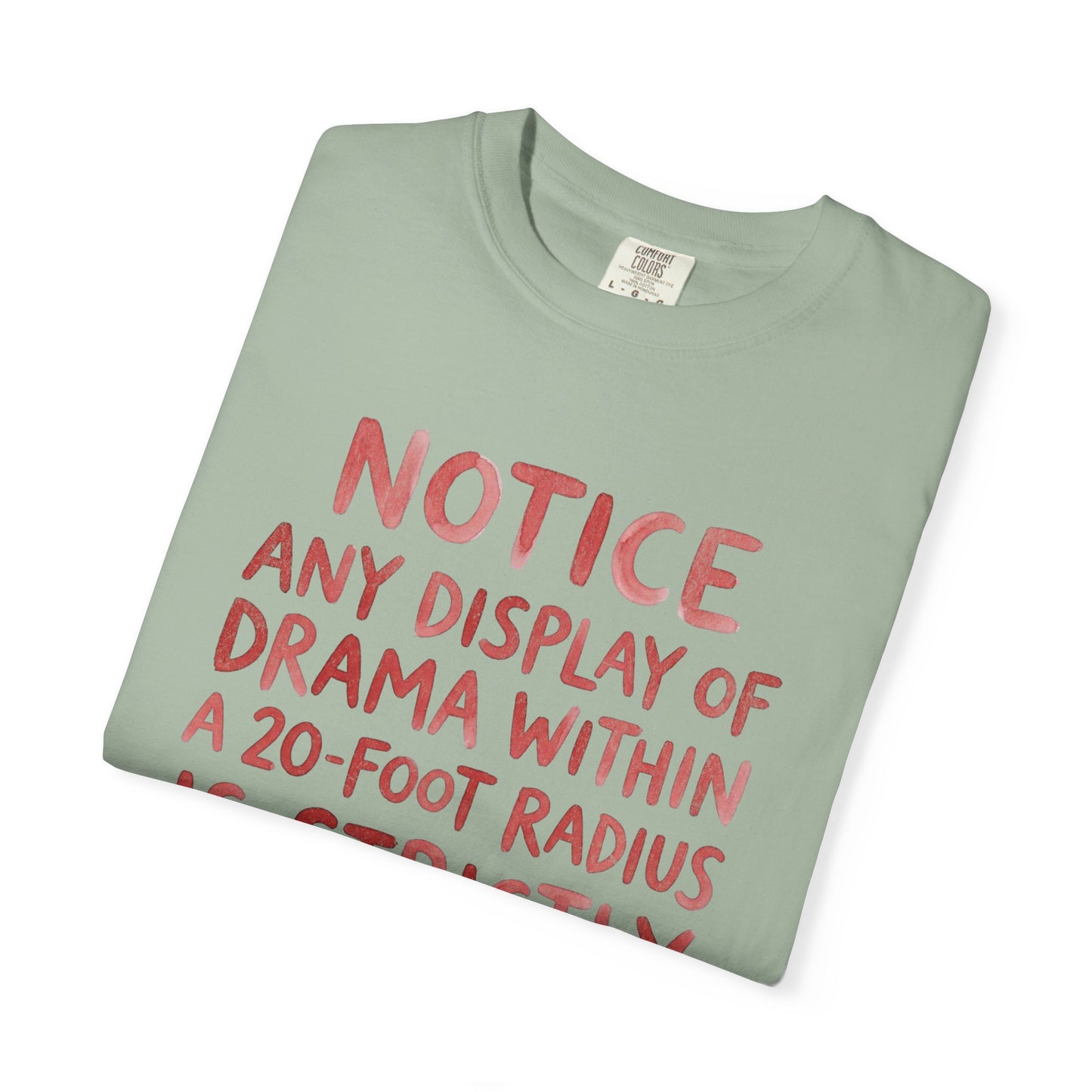 Any Display of Drama Prohibited T-Shirt | Funny Typography Graphic Tee | Introvert Humor Shirt