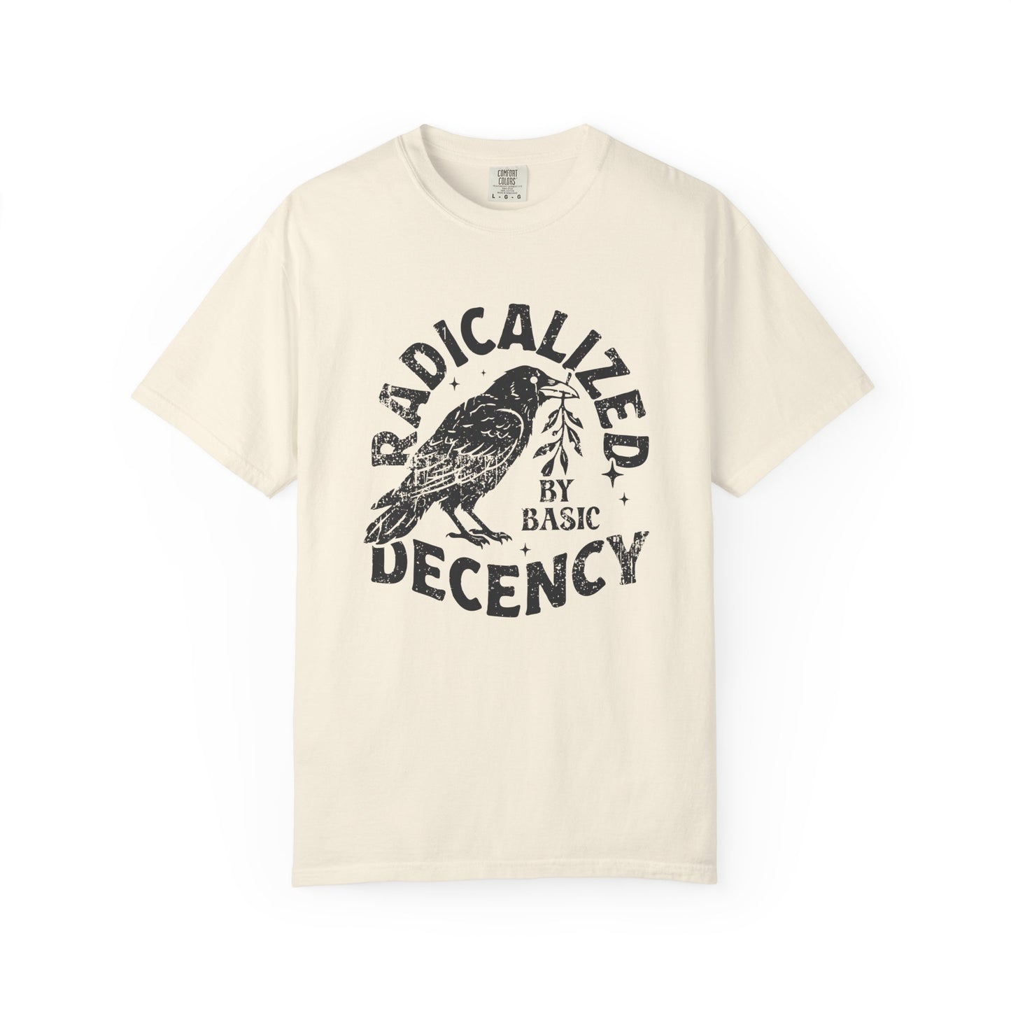 Radicalized by Basic Decency T-Shirt — Vintage Raven Distressed Graphic Tee