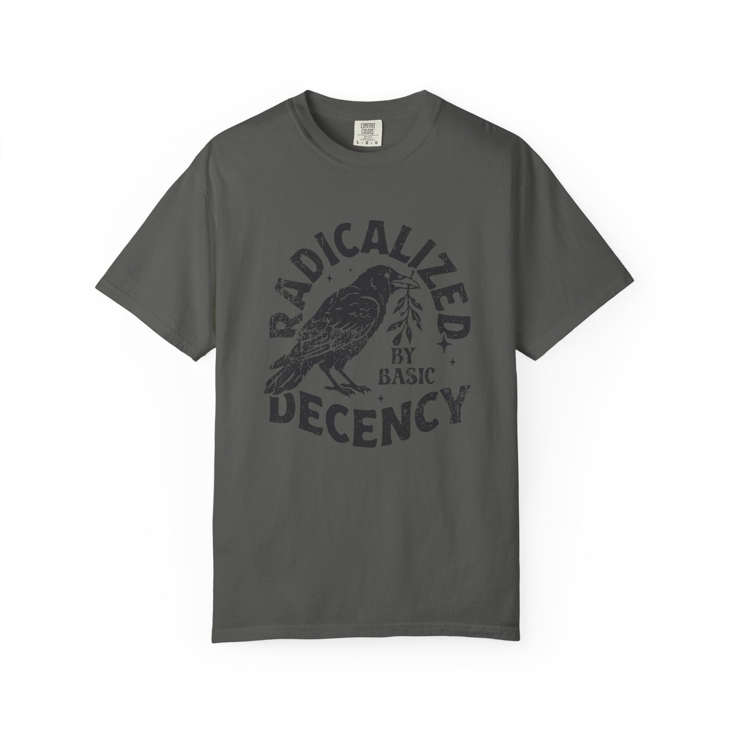 Radicalized by Basic Decency T-Shirt — Vintage Raven Distressed Graphic Tee
