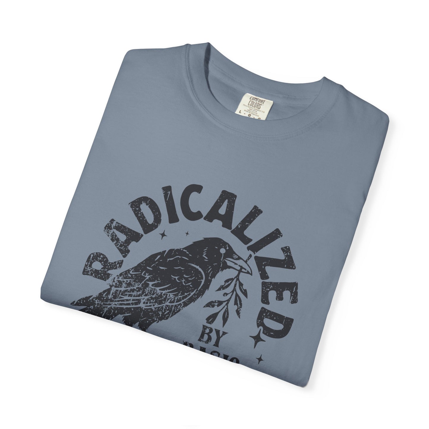 Radicalized by Basic Decency T-Shirt — Vintage Raven Distressed Graphic Tee