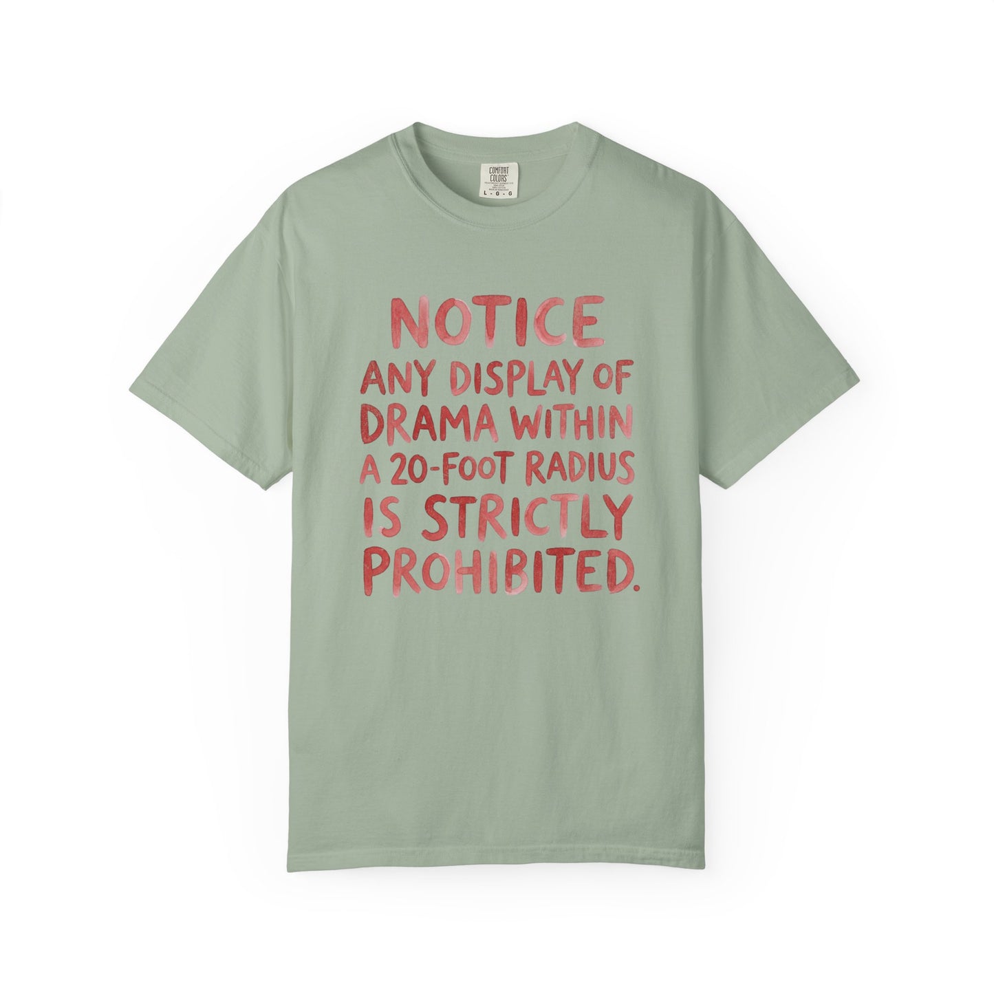 Any Display of Drama Prohibited T-Shirt | Funny Typography Graphic Tee | Introvert Humor Shirt