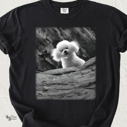 Precious Silence of the lambs