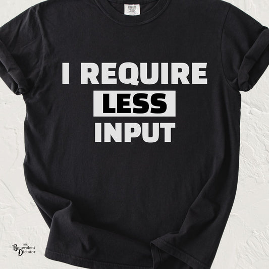 I Require Less Input T-Shirt — Minimalist Anti-Overstimulation Tee