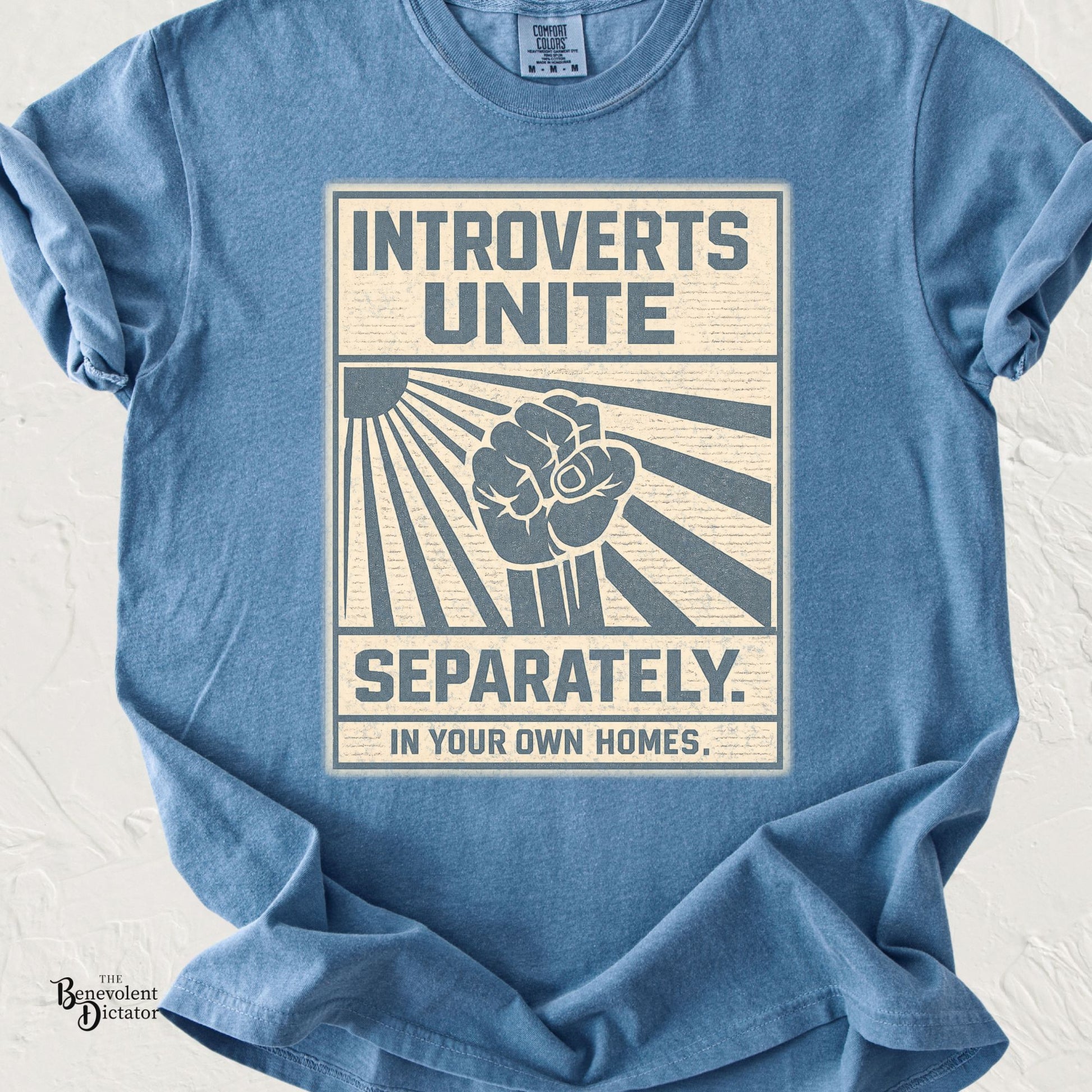 Black Comfort Colors t-shirt featuring a vintage-style retro graphic with the phrase “Introverts Unite Separately. In Your Own Homes.” in muted steel blue and cream distressed typography.