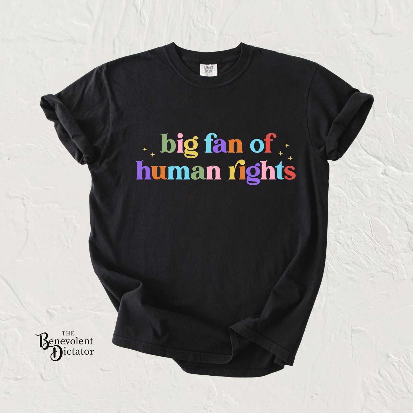 Big Fan of Human Rights Pride & Ally Graphic Tee