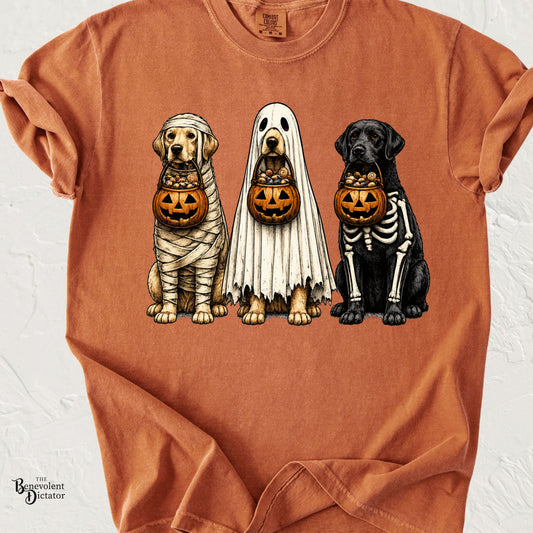 Three dogs dressed as a mummy, ghost, and skeleton holding pumpkin candy buckets in a cute vintage-style Halloween illustration on a transparent background.